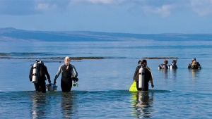 PADI Open Water Diver Opleiding – Leer Duiken en Ontdek de Onderwaterwereld